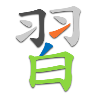習